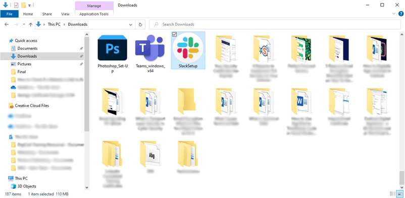 installer saved in the downloads folder